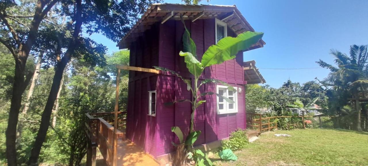 Violeta Aquarela Bombinhas Villa Eksteriør bilde