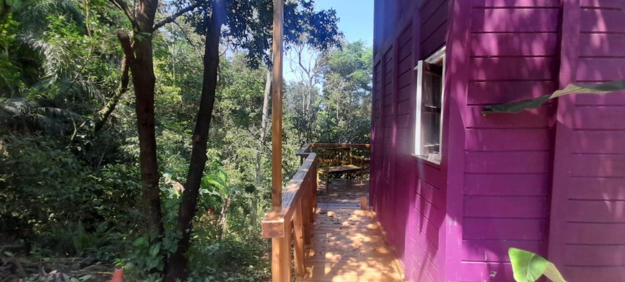 Violeta Aquarela Bombinhas Villa Eksteriør bilde